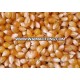 2017 Fresh and Good Quality Organic Corn / Maize Seed